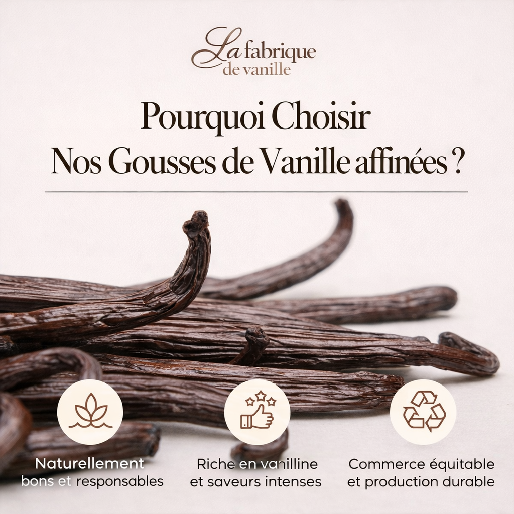 20 Gousses de Vanille Bourbon Madagascar - 16 à 18 cm